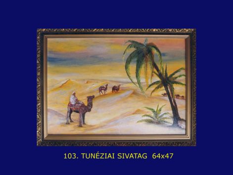 Tunéziai sivatag